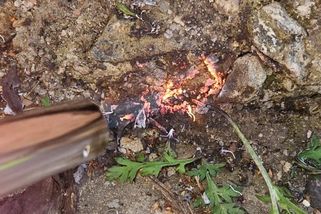 Trvalé odstranění plevele v dlaždičkách. Hotovo za pár minut a bez chemie